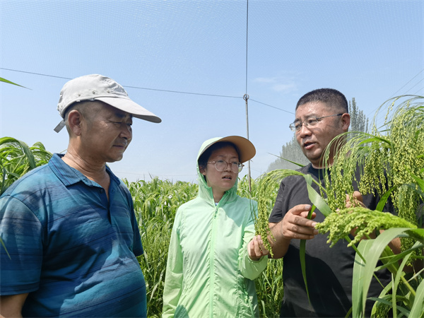 鄂尔多斯市农牧业科学院育种基地考察.jpg